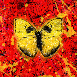 kenzieReeves无码作品
