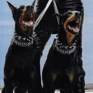 kenzieReeves无码作品
